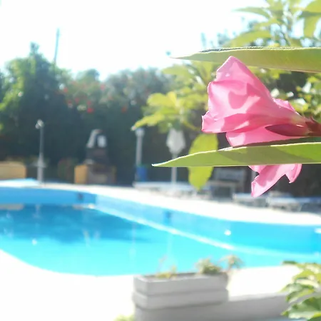 Hotel apartamentowy Sofia 2*